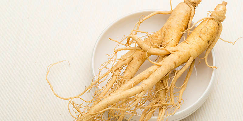 Ginseng